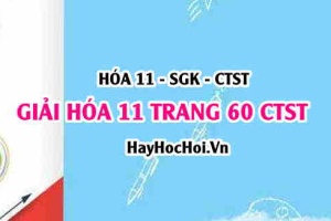 Giải Hóa 11 trang 60 SGK Chân trời sáng tạo